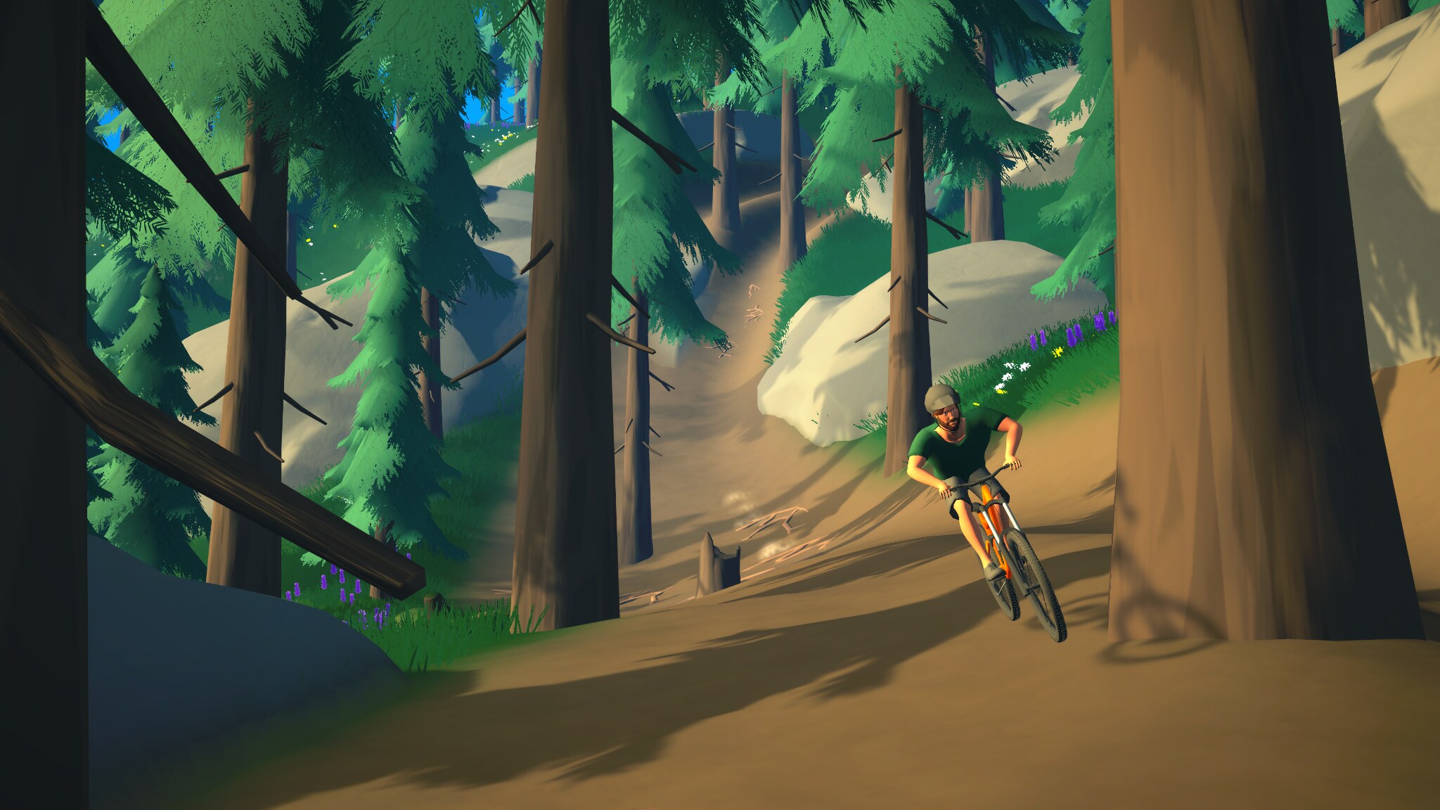 Mountain biker racing down a forest trail
